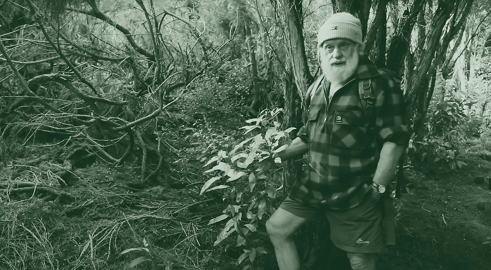 Hinewai Forestation Story Cover Image